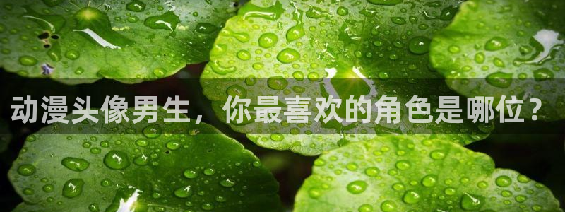 动漫屋app官方正版下载安装：动漫头像男生，你最喜欢的角色是哪位？