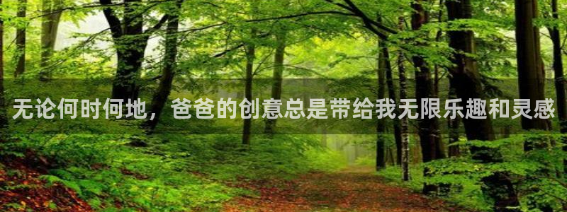 动漫屋app正版下载：无论何时何地，爸爸的创意总是带给我无限乐趣和灵感